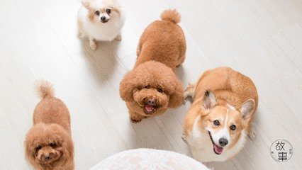 Ethereum钱包安卓版