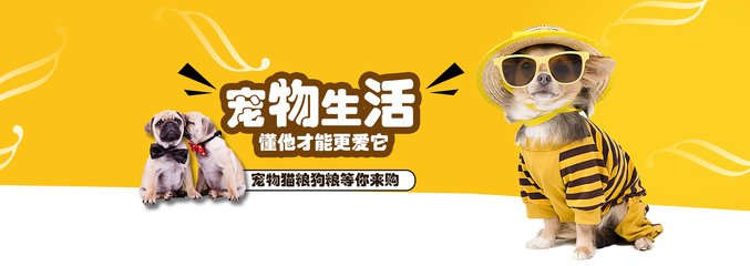 小狐狸钱包干嘛用的