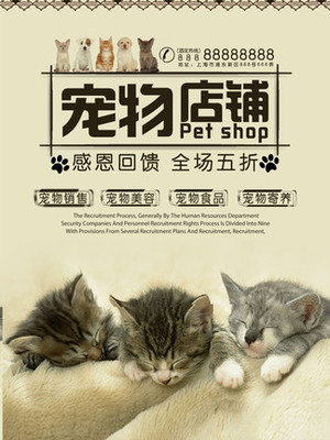 以太坊钱包苹果版